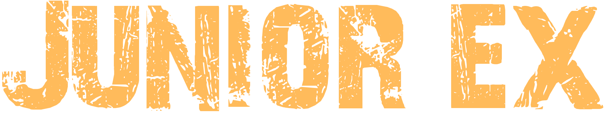 LogoJuniorEX